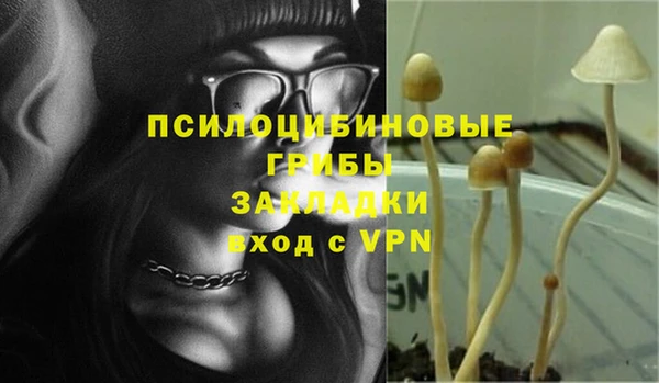 скорость mdpv Белокуриха