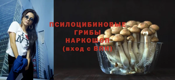 крисы Белоозёрский