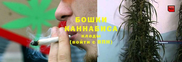 крисы Белоозёрский