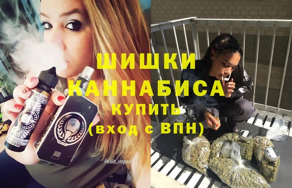 крисы Белоозёрский