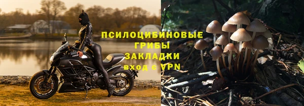 скорость mdpv Белокуриха