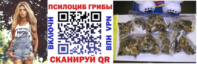 Галлюциногенные грибы Psilocybe  Бузулук 